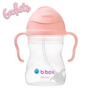 Sippy Cup - Tutti Frutti