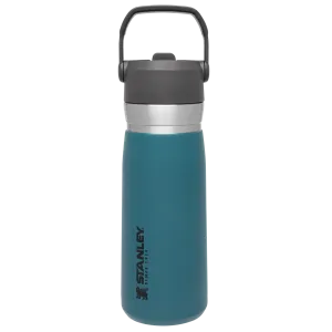The Go Flip Straw Water Bottle | 22 OZ