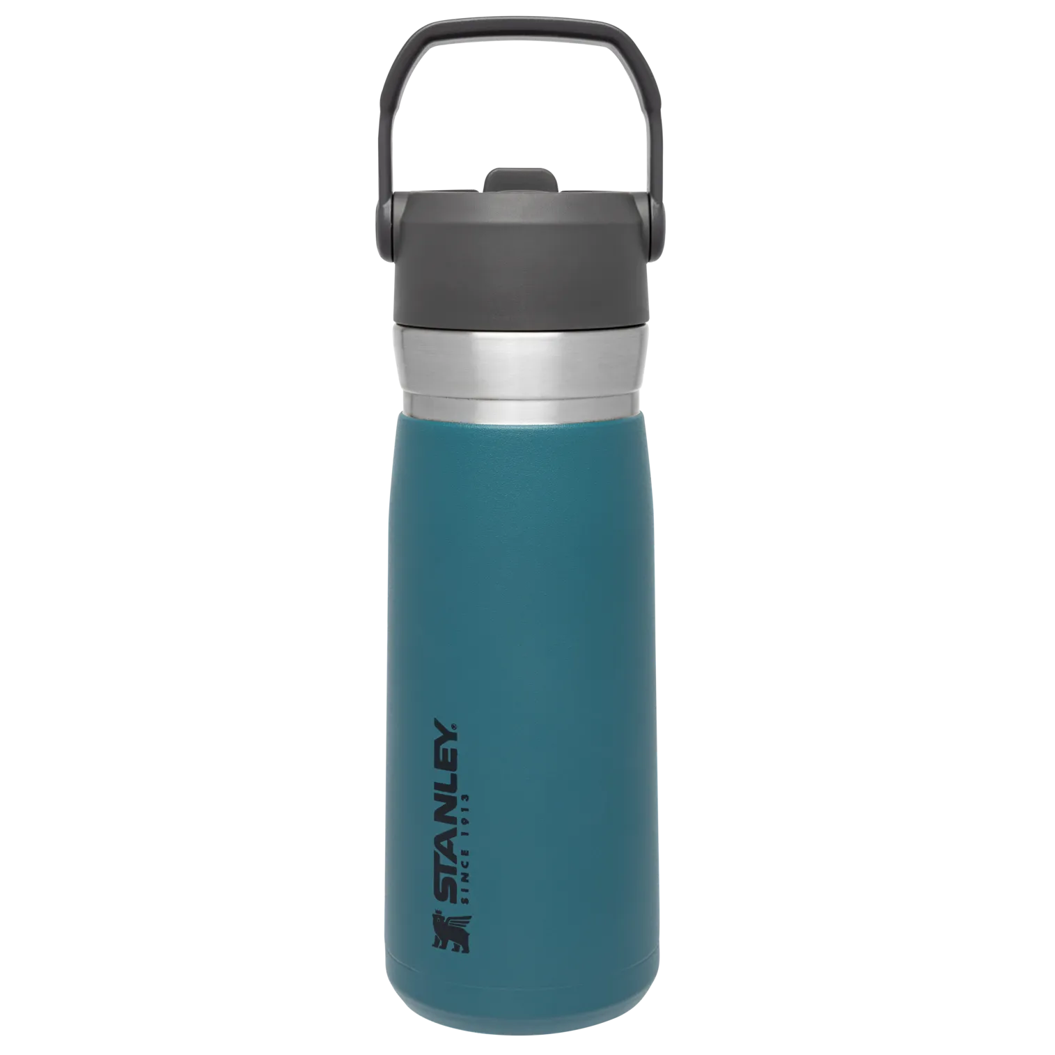 The Go Flip Straw Water Bottle | 22 OZ