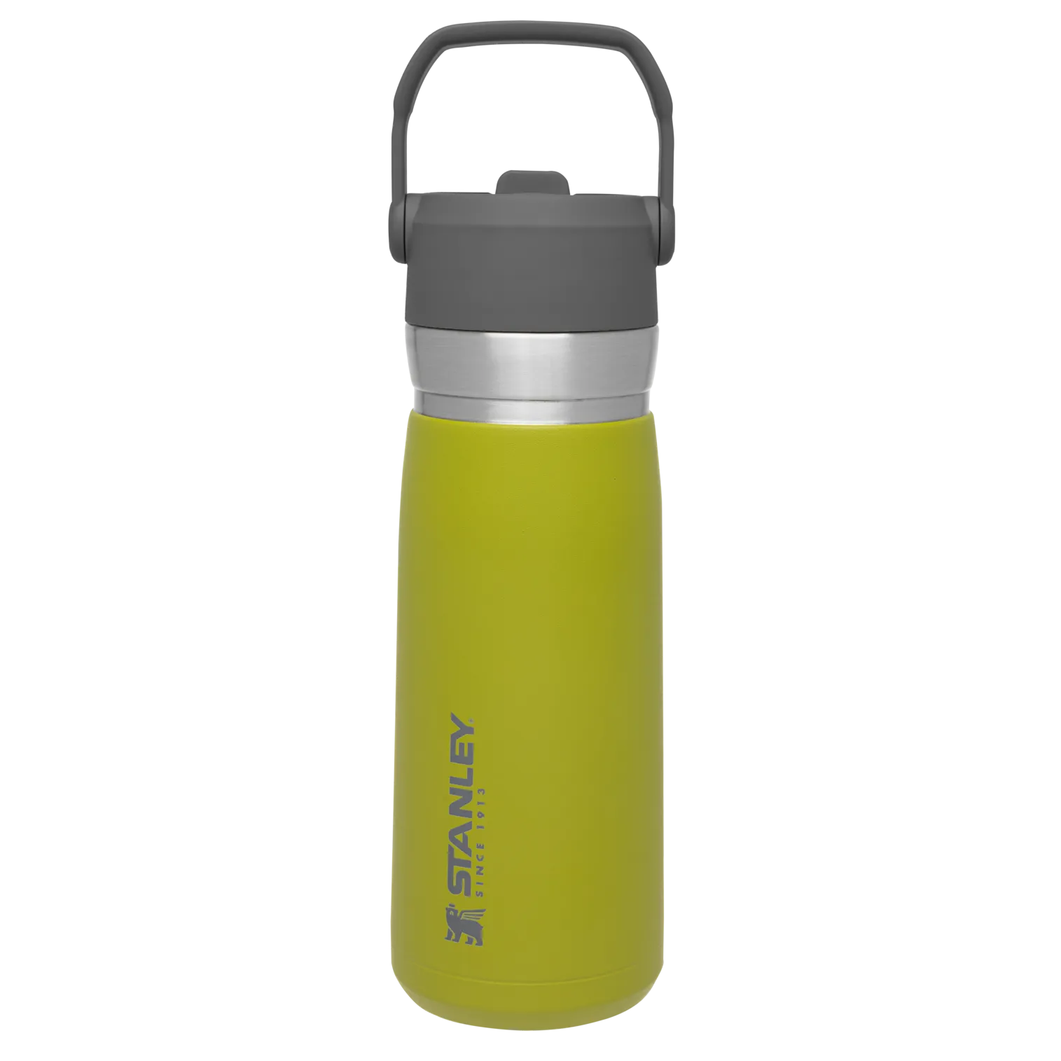 The Go Flip Straw Water Bottle | 22 OZ