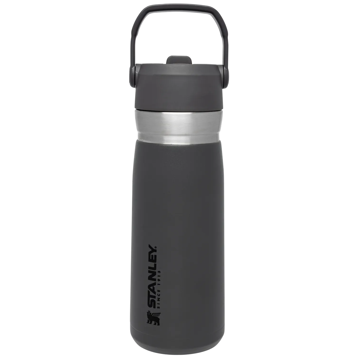 The Go Flip Straw Water Bottle | 22 OZ